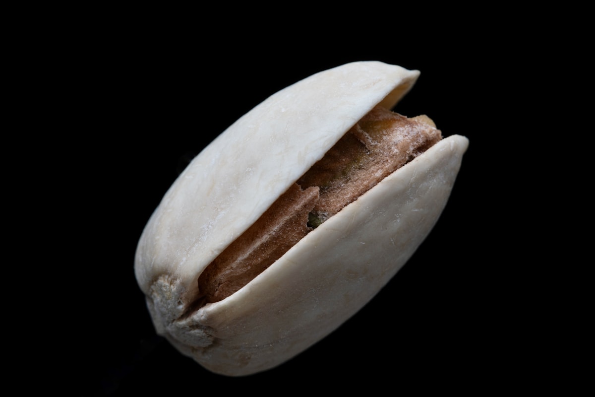 카카오톡 업데이트: 최신 기능과 활용법